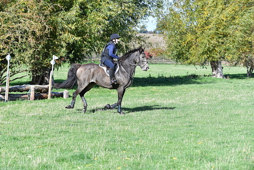 WJ5_7654