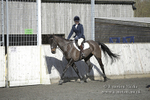 BVRC 050320 0619
