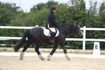 3E7A9625