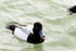 180307-Wirral0262