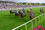 190826-Race 7-Henley On Thames-0792