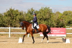 SBM_007480
