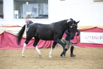SBM_23653