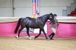SBM_00440