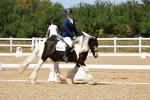 SBM_011832