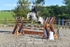 BPP_8698