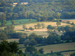 Leith Hill - 12
