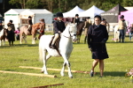 SBM_11093