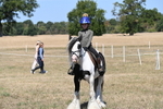 WJ6_9027