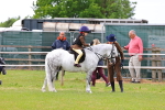 SBM_08274