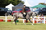 Class 3: Rising Star S/L Hunter portfolio