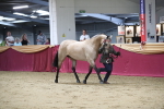 SBM_05069