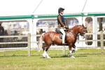 SBM_17684