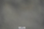 230909-172410-07237