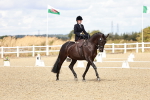 SBM_004933