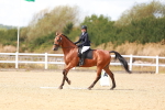 SBM_011794