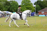 SBM_02501