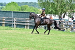 SBM_15392