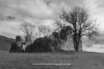 Pendragon Castle ref no 3013