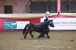 SBM_14871