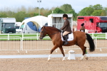 SBM_00332