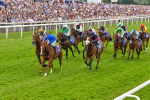 170623-Race 2-Wild Lion-6996