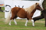 SIAL4854