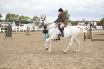 SBM_18271