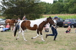 WJ6_5612