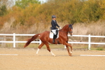 SBM_009329