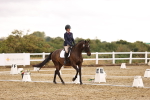 SBM_001990