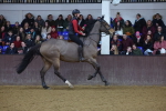 SBM_006407