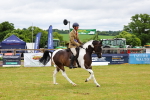 SBM_02673