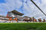 Race 6 4.45pm Mews Hotel Ossett EBF Stallions Nursery Handicap portfolio