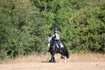 WJ6_7510