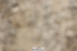 240615-162334-02329