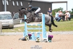 Cls 33 Horse of the Year Show 138cm Qualifier portfolio