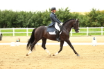SBM_006718