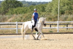 SBM_003252
