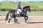 BPP_9137