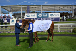 Race 4 3.10pm Al Basti Equiworld Dubai Dante Stakes portfolio