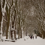 St George Park in the Winter 2