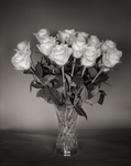 Vase of Roses Black and White Still Life