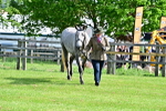 SBM_03318