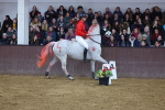 SBM_004669