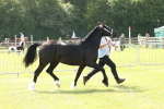 SBM_02267