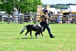 SBM_03381