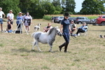 WJ6_7055