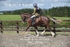 JAC_2976
