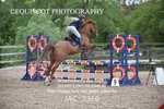 JAC_3366